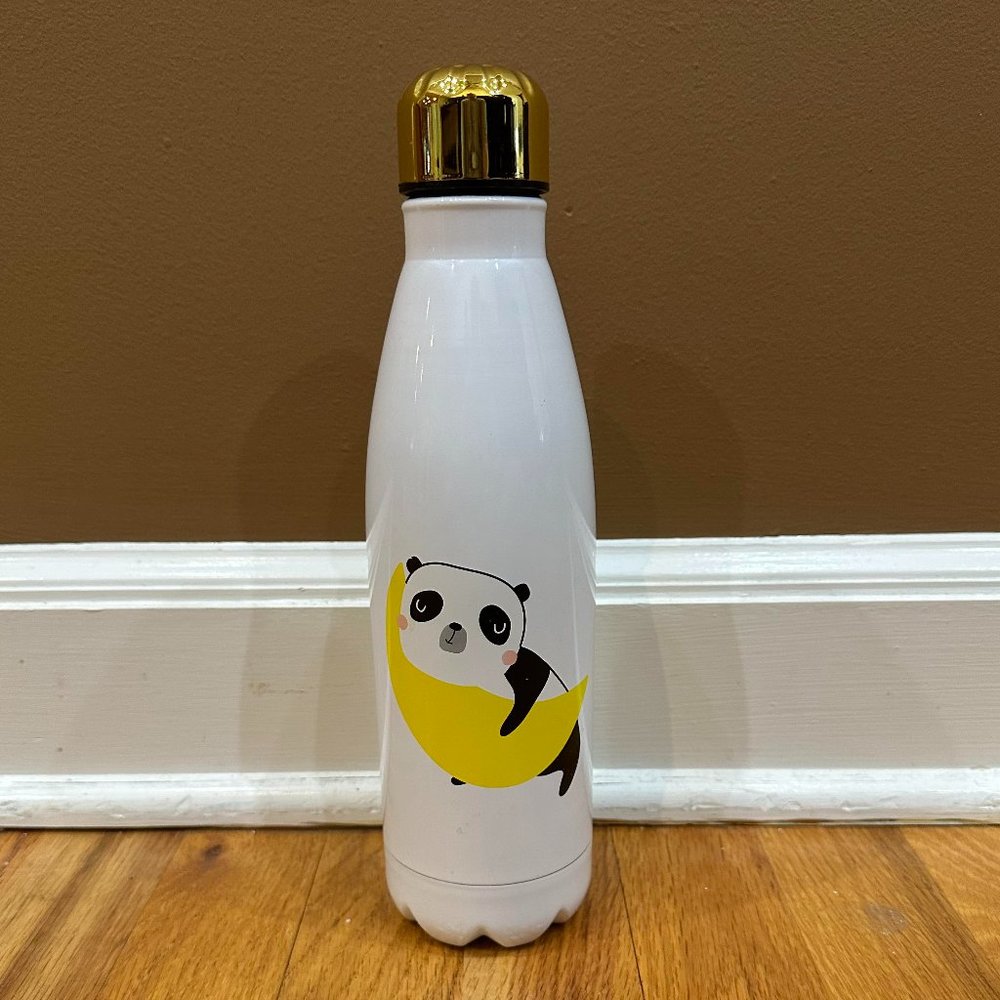 Stainless Steel water bottle- nwot